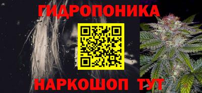 гидра Можга