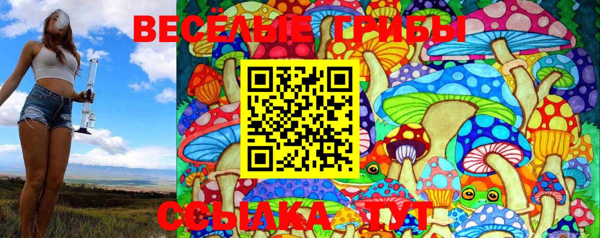 Урюпинск  Галлюциногенные грибы Psilocybe  Вход с VPN 